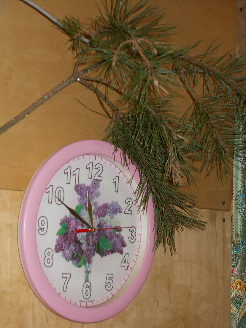 Шануй сыбэ, покыль свободн!