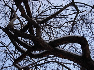 Зима усугубляет