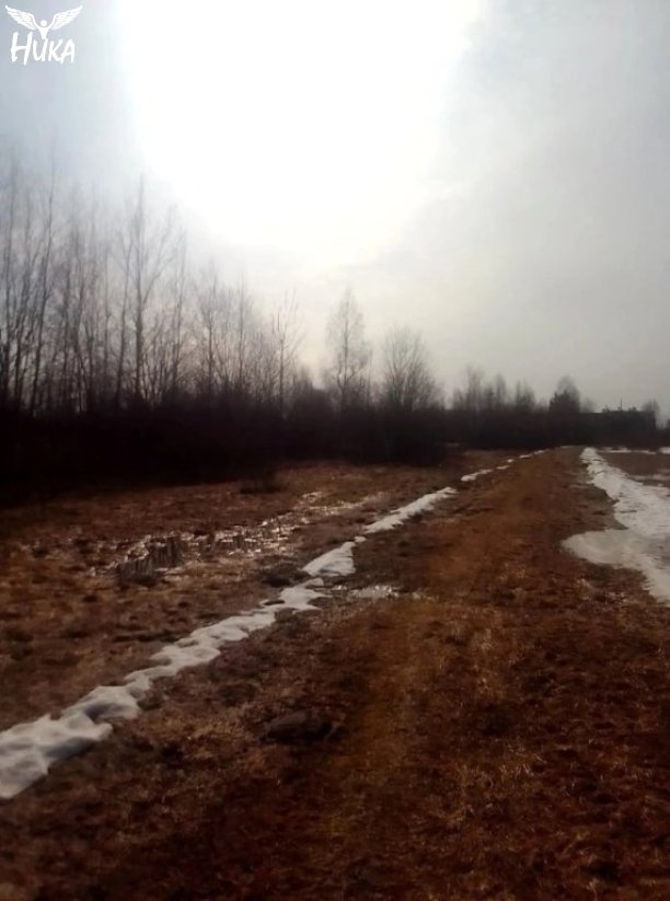 Куда девалась сказка