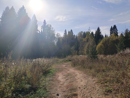 2025г. Не надо было так гулять. 1197