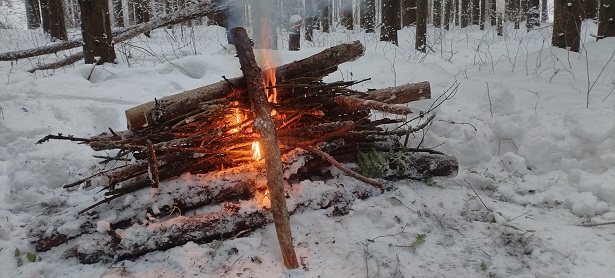 2025г. Она не стала мне желать. 1200