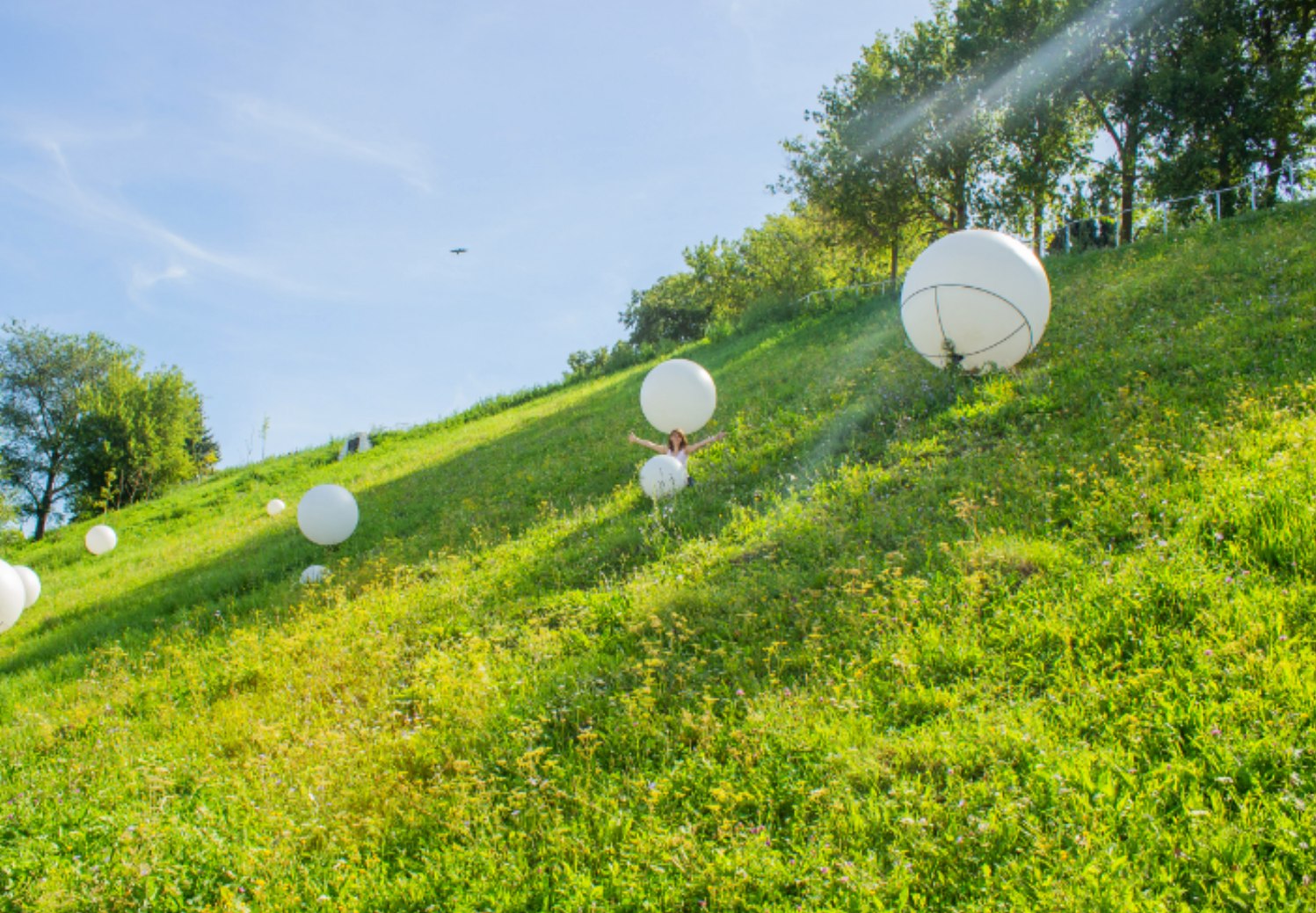 А ты возьми найди кота