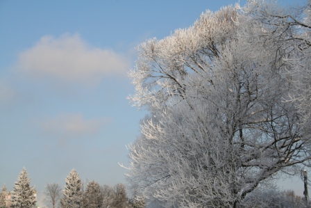 Мама и Рождество. Взгляд в прошлое