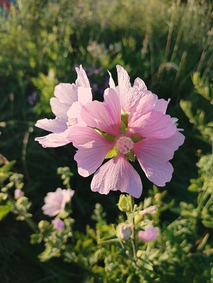 2025г. Не дам Вам ночью спать одной. 1202
