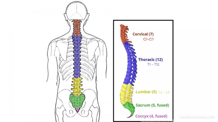 Тридцать три ступени