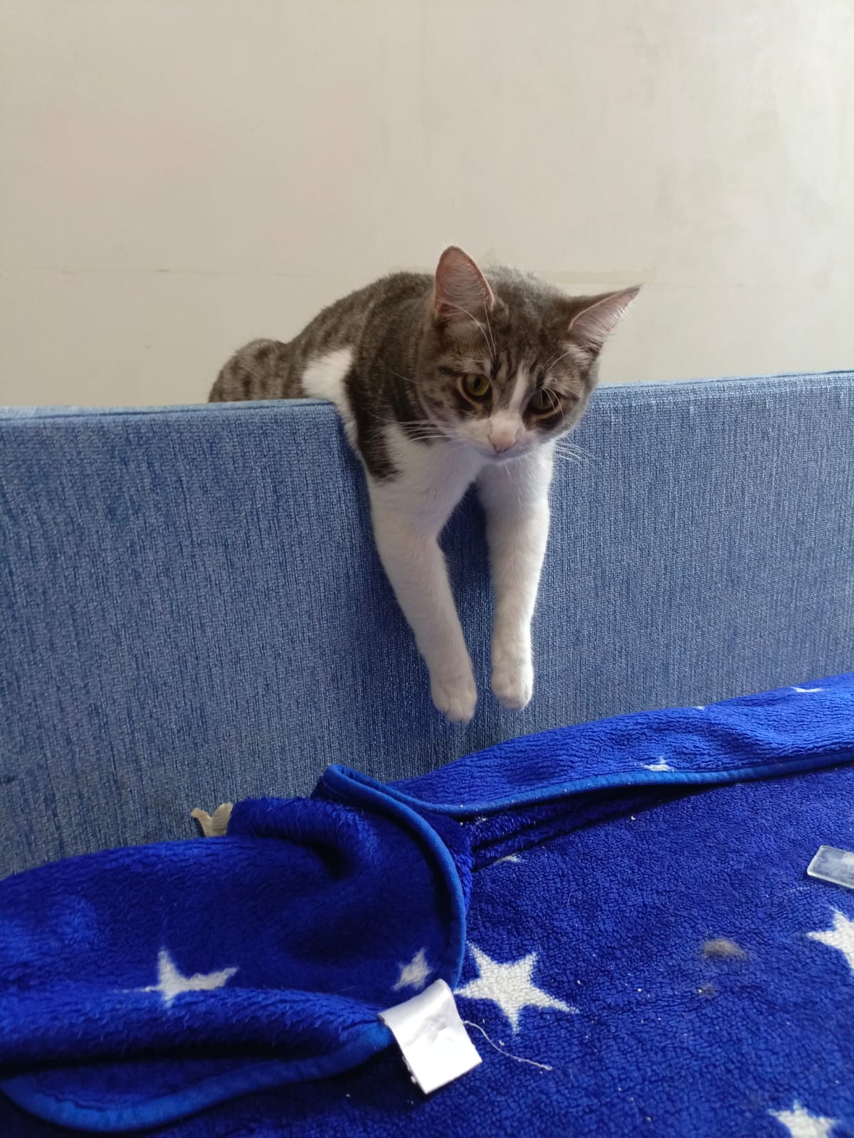 Песня про счастье