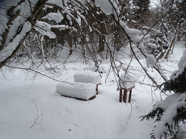 2025г. Под Старый Новый год пешком. 1204