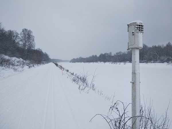 2025г. За обсуждением себя. 1205