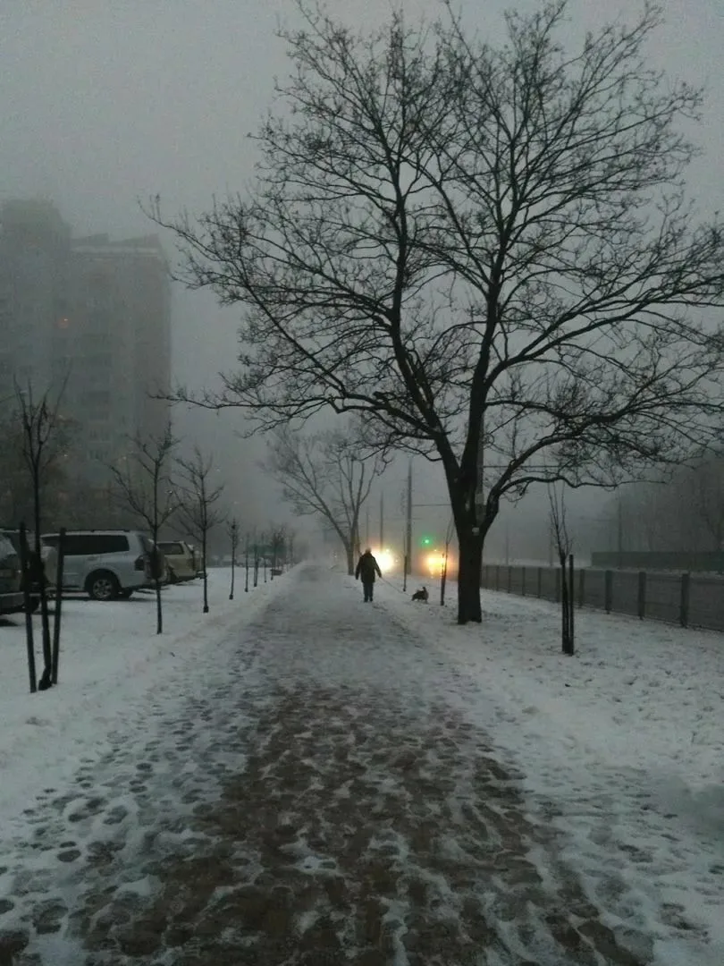 Погода сыростью дышала