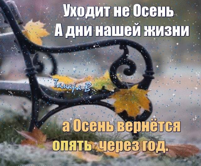 Я снова жду сырую осень