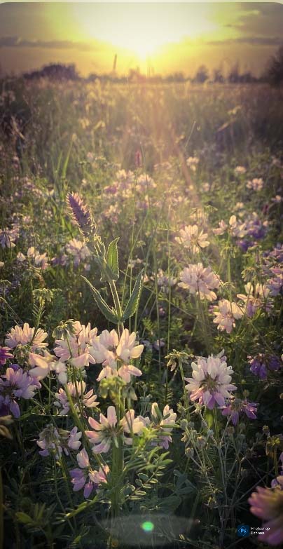 Бурлит кофейник