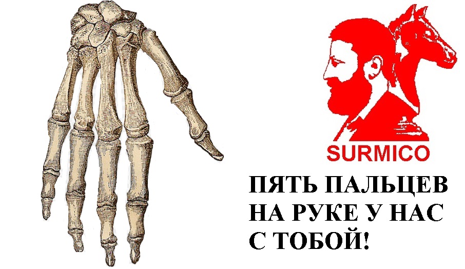 Пять пальцев на руке у нас с тобой