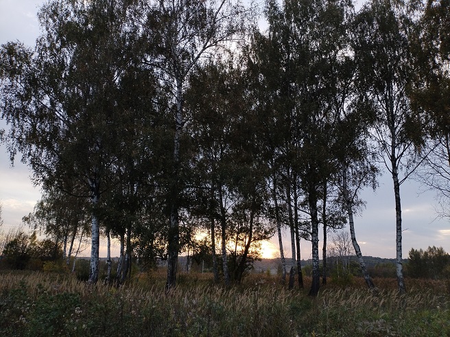 2025г. К чему они не прикоснутся. 1208