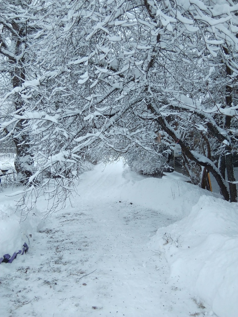 17 января. Была прелесть, было чудо...