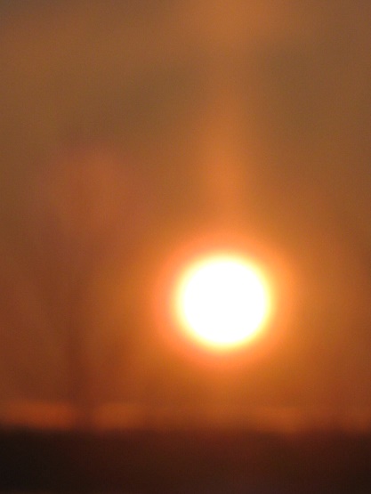 Полярная ночь спала сорок дней