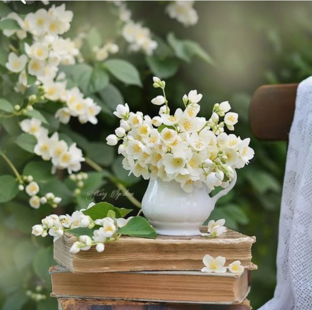 До краёв переполнена солнцем и ветром