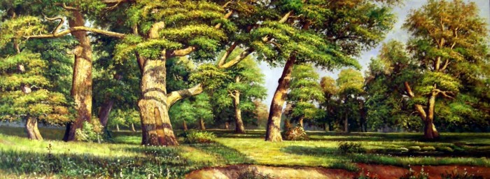 Шумит моя дубрава