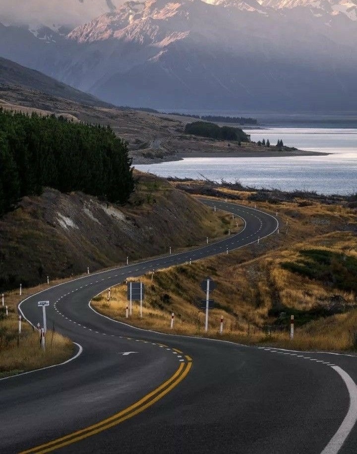 Дорога манет