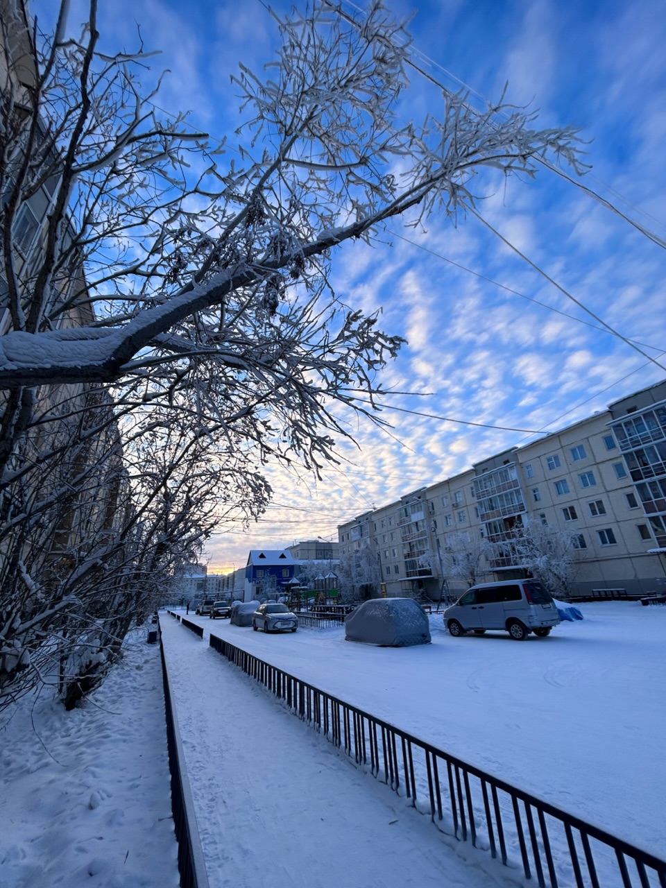 Смысл жизни - спасённый рассвет