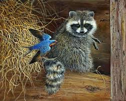 Предпочтения непонятны 688