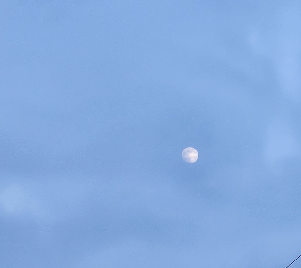 Светлая луна 694