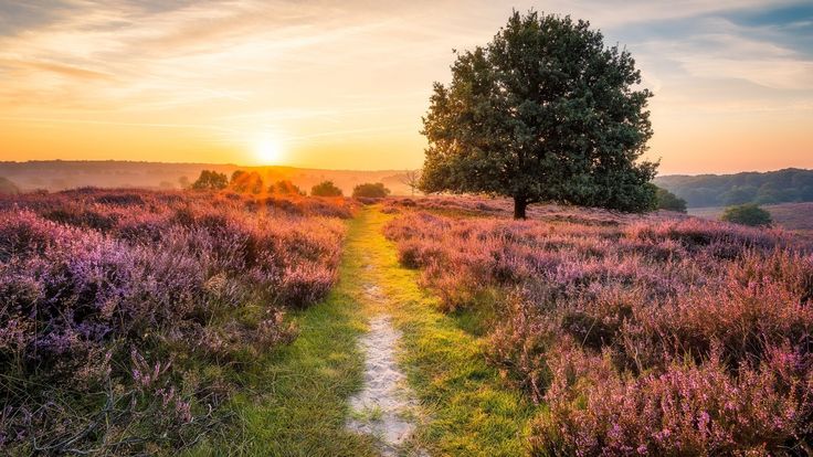 Куда ни кинь - повсюду знаки..