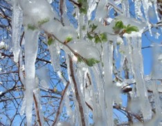 Загадочный февраль