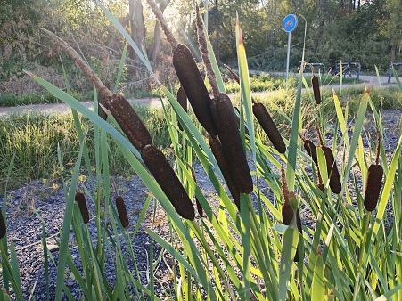 2025г. В её чертог проникнешь ложью. 1213