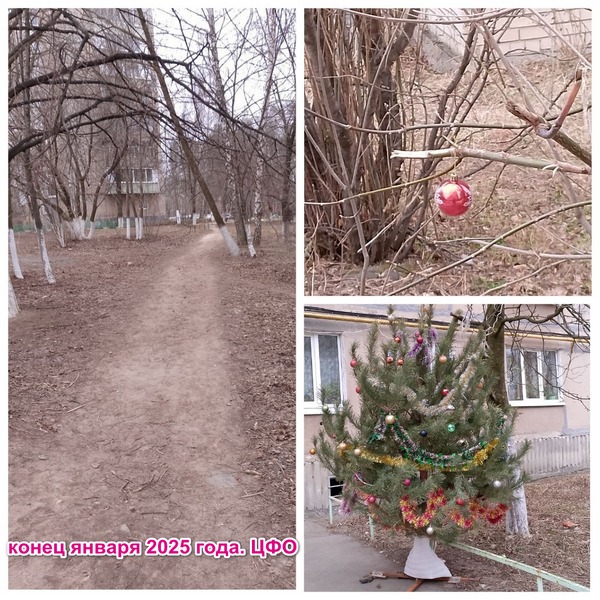 психопат