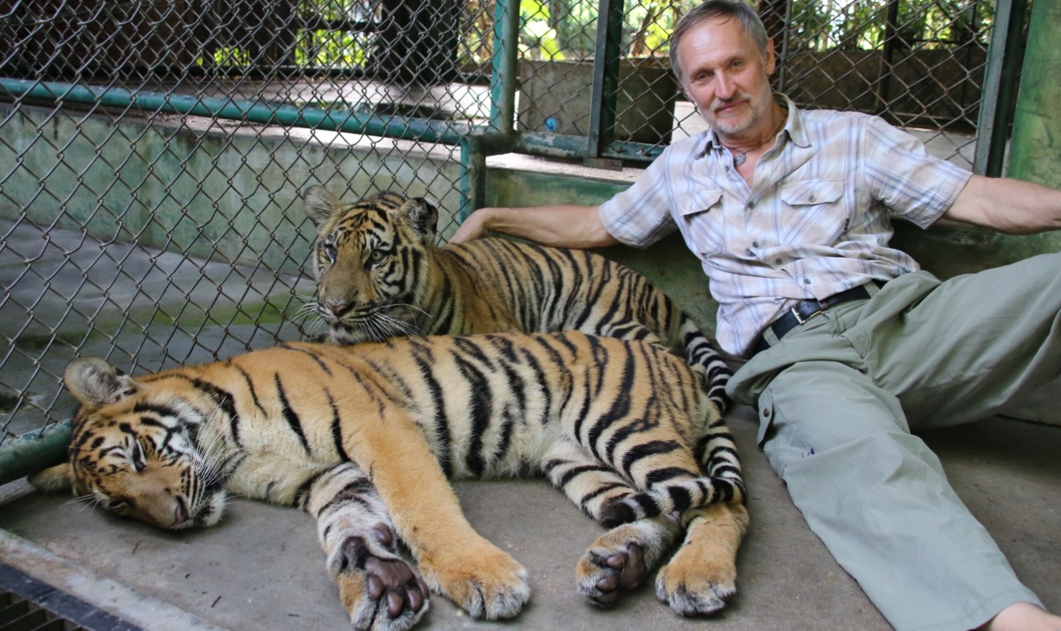 Нападения животных 2