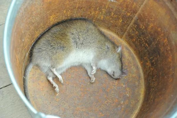 Сила надежды