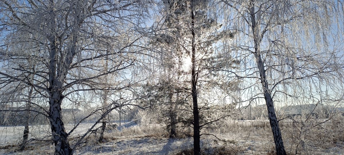 Поиски счастья, любви и свободы