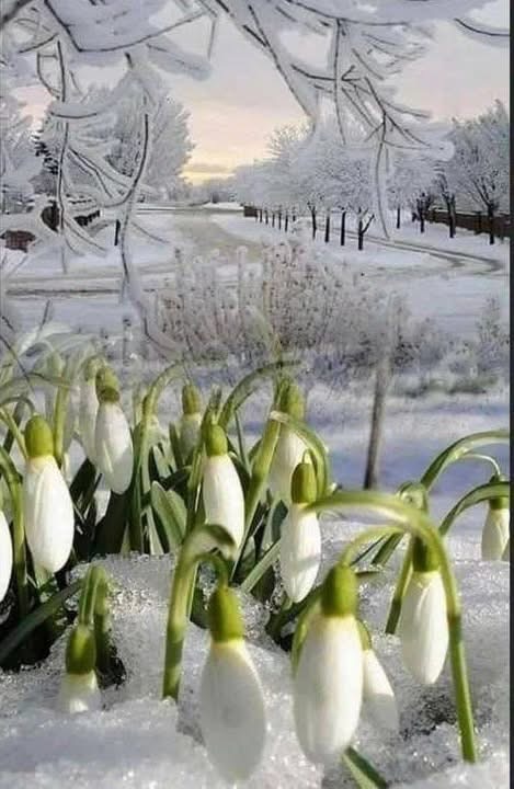 Судьбы путь - как река!