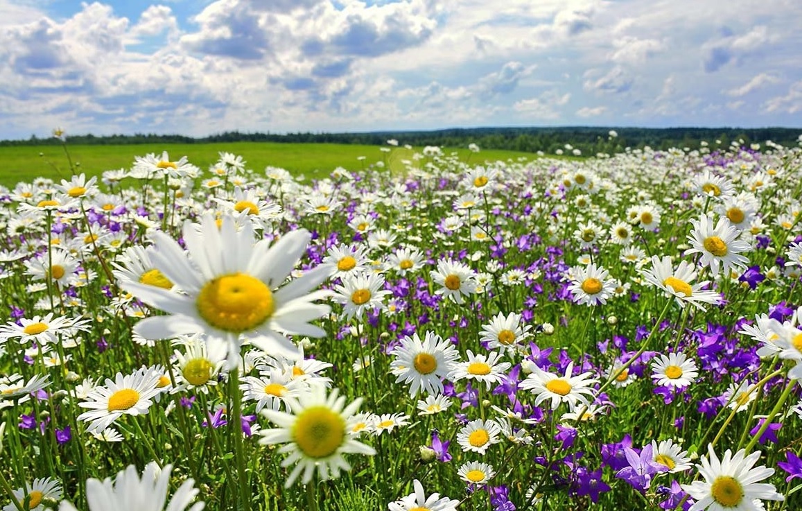 В сладкой дрёме...