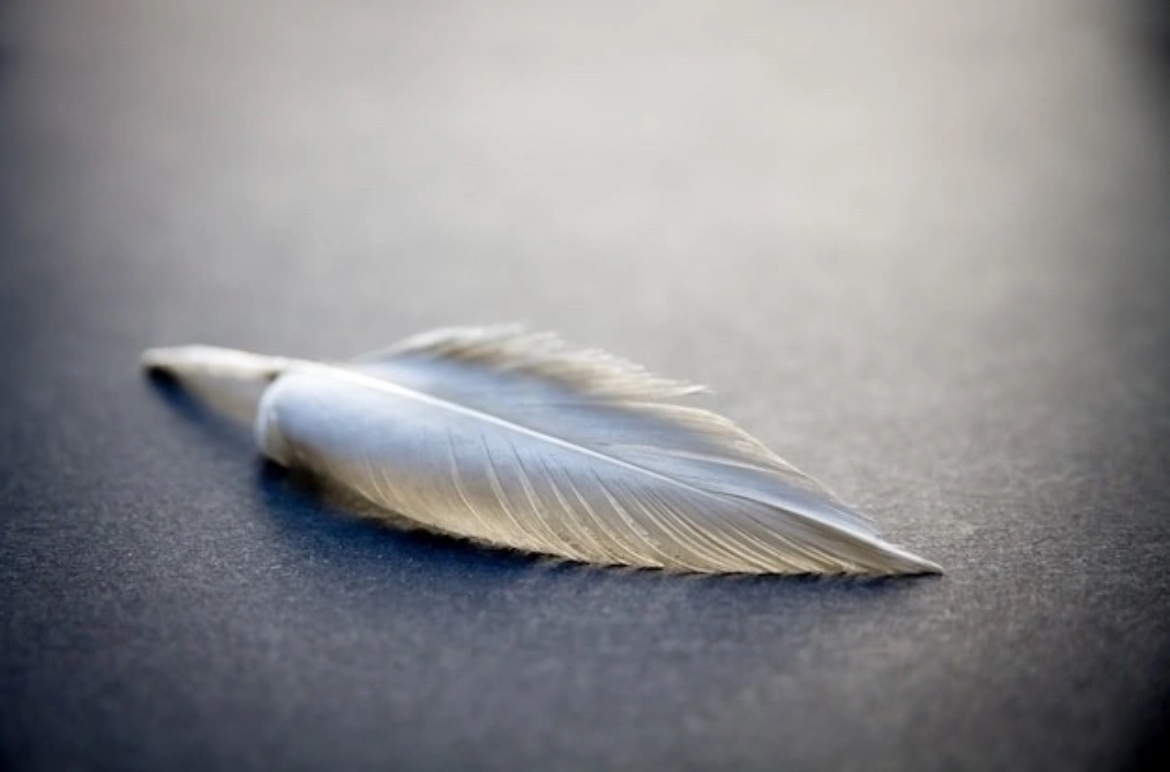 набей мне, кольщик