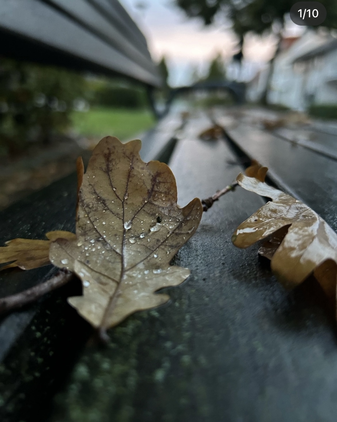 на двух языках