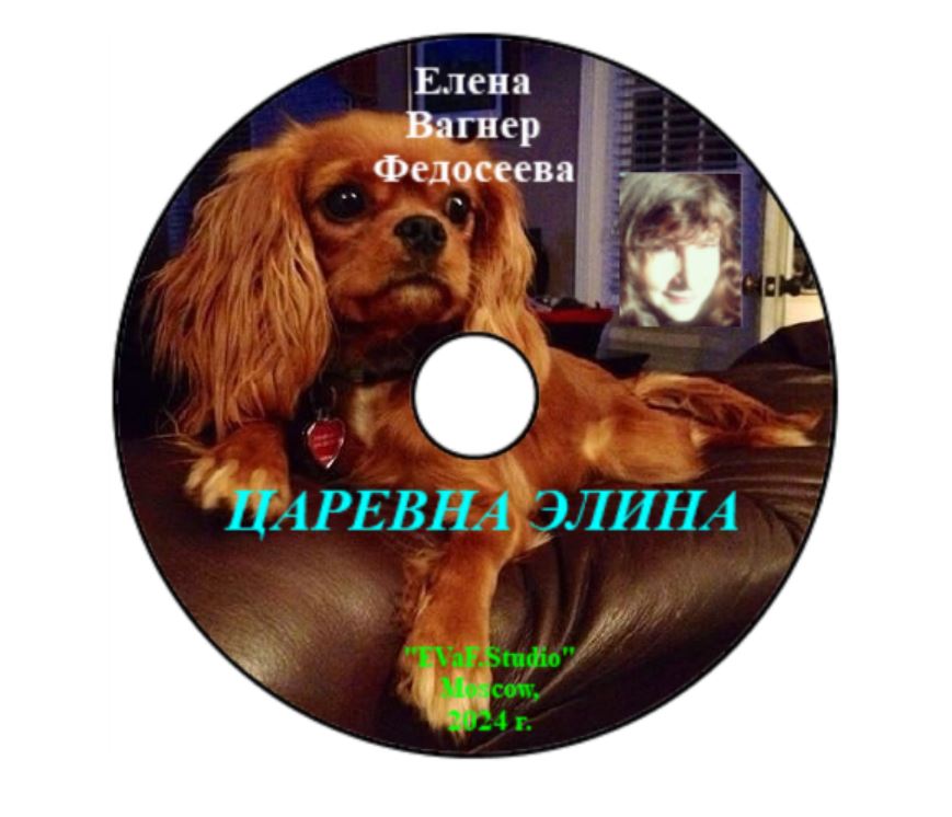 11. Моя соратница