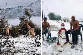 Снег... в Африке?!