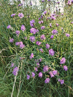 2025г. То преимущество твоё. 1218