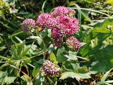 2025г. Вчера дотронулся до Вас. 1222