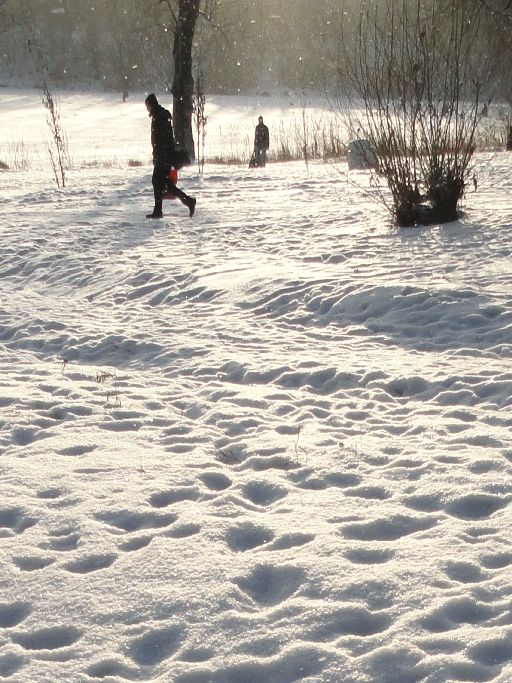 Фотоархив Январь на исходе