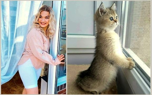 Всё, кот мартовский, весна!