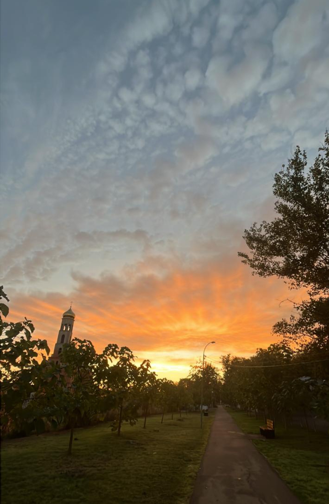 Свидетель дней