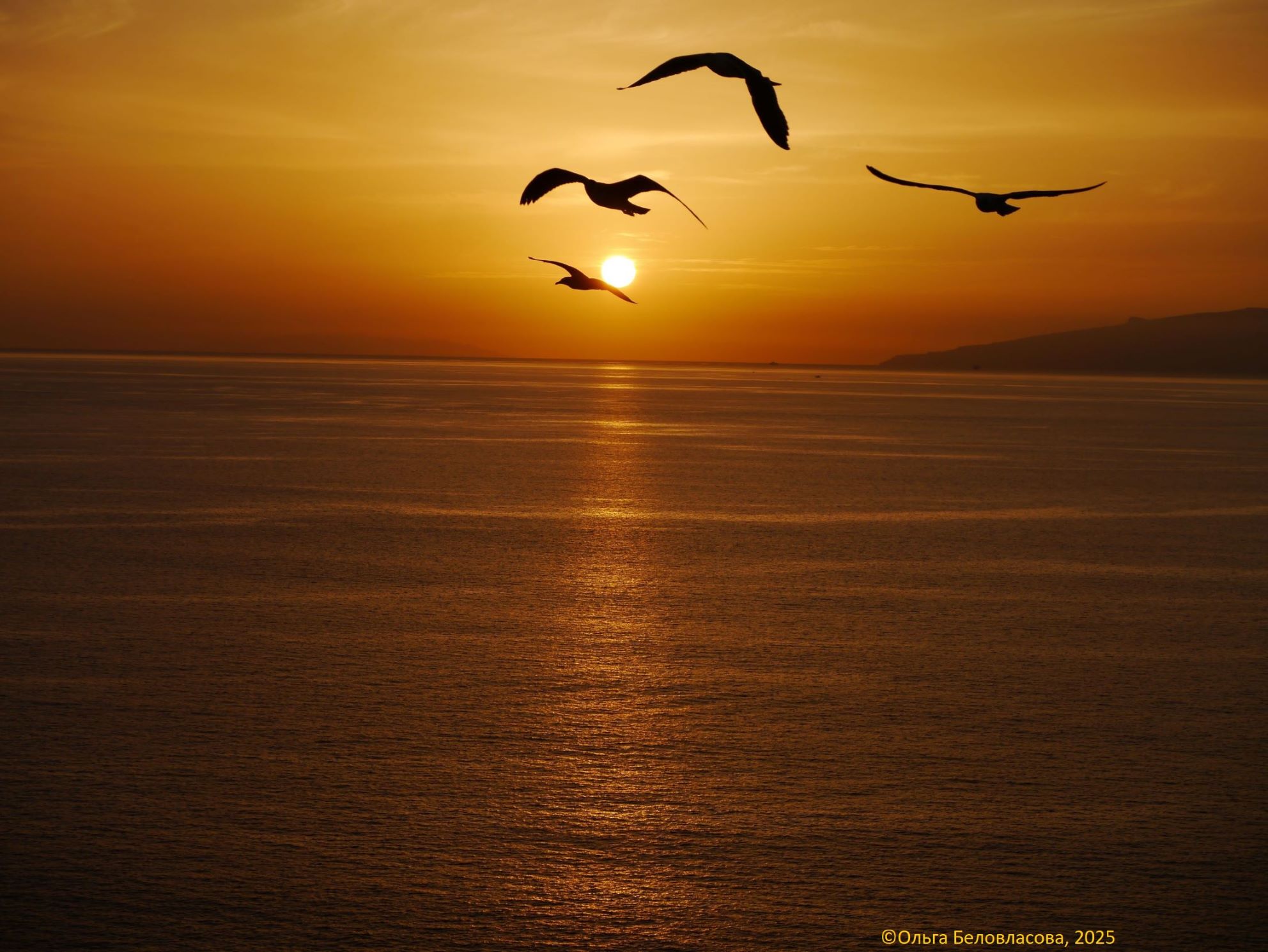 Я люблю, но тебе не скажу об этом...