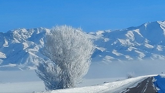 Белый снег