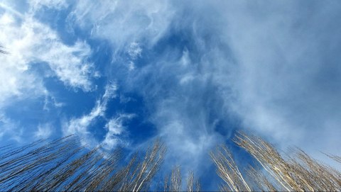 Авиакатастрофа под Актау