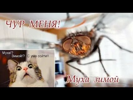 Время поискать счастье!