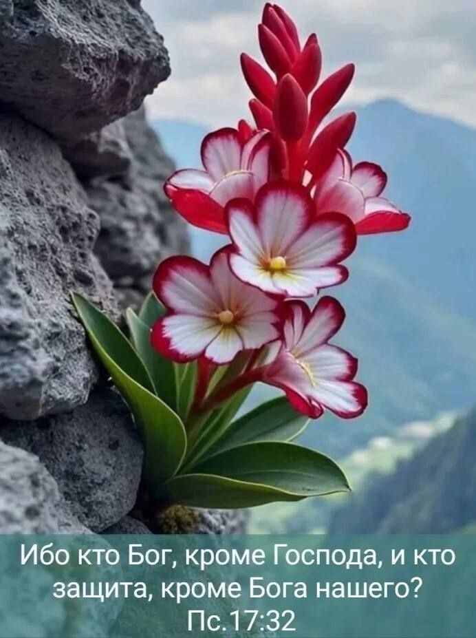 31 января. Вслух о своём...