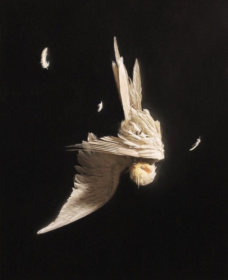 Падаю в вечность