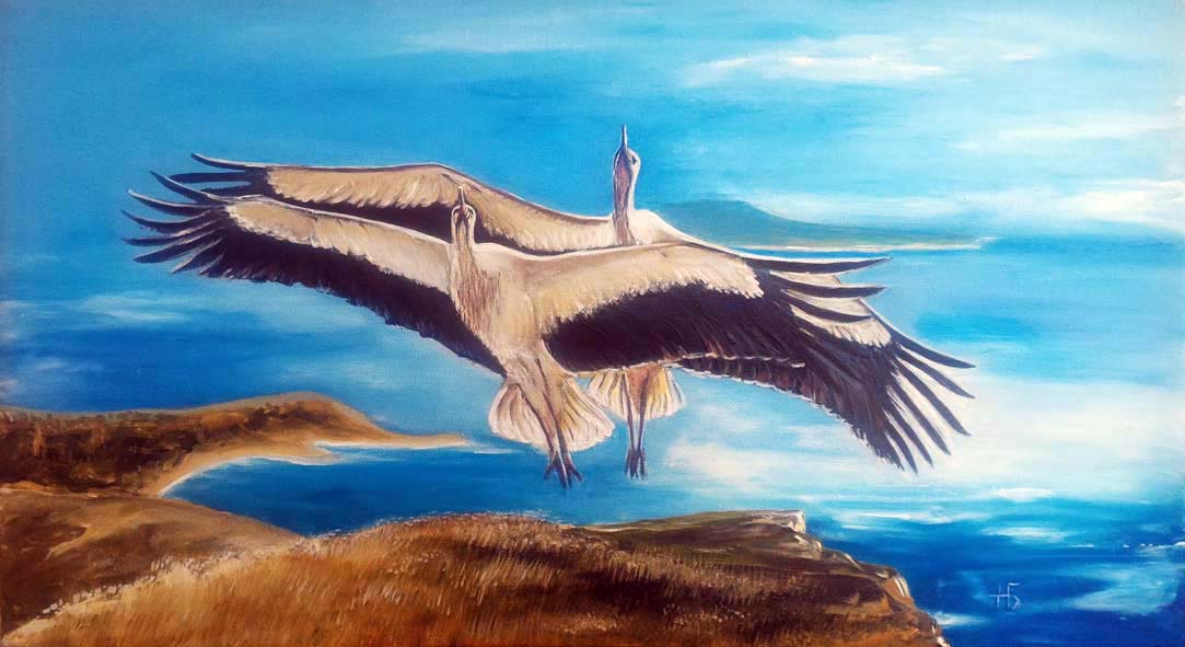 Так хочется летать